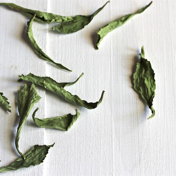 Stevia dried leaves 600 The Wimpy Vegetarian