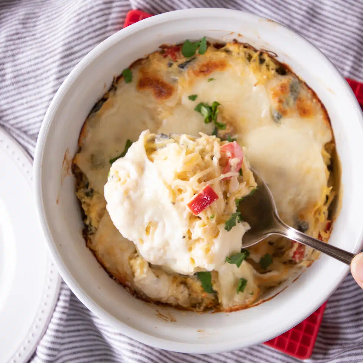 Cheesy spaghetti squash casserole with a spoonful of the casserole lifted for a closer look.