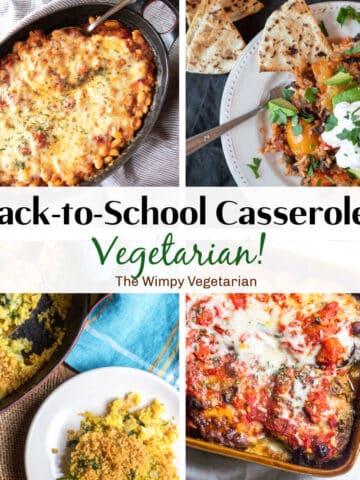 Four casseroles perfect for back-to-school dinners all week long.